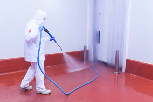 Best Restaurant Pressure Washing  in Hewlett Harbor, NY